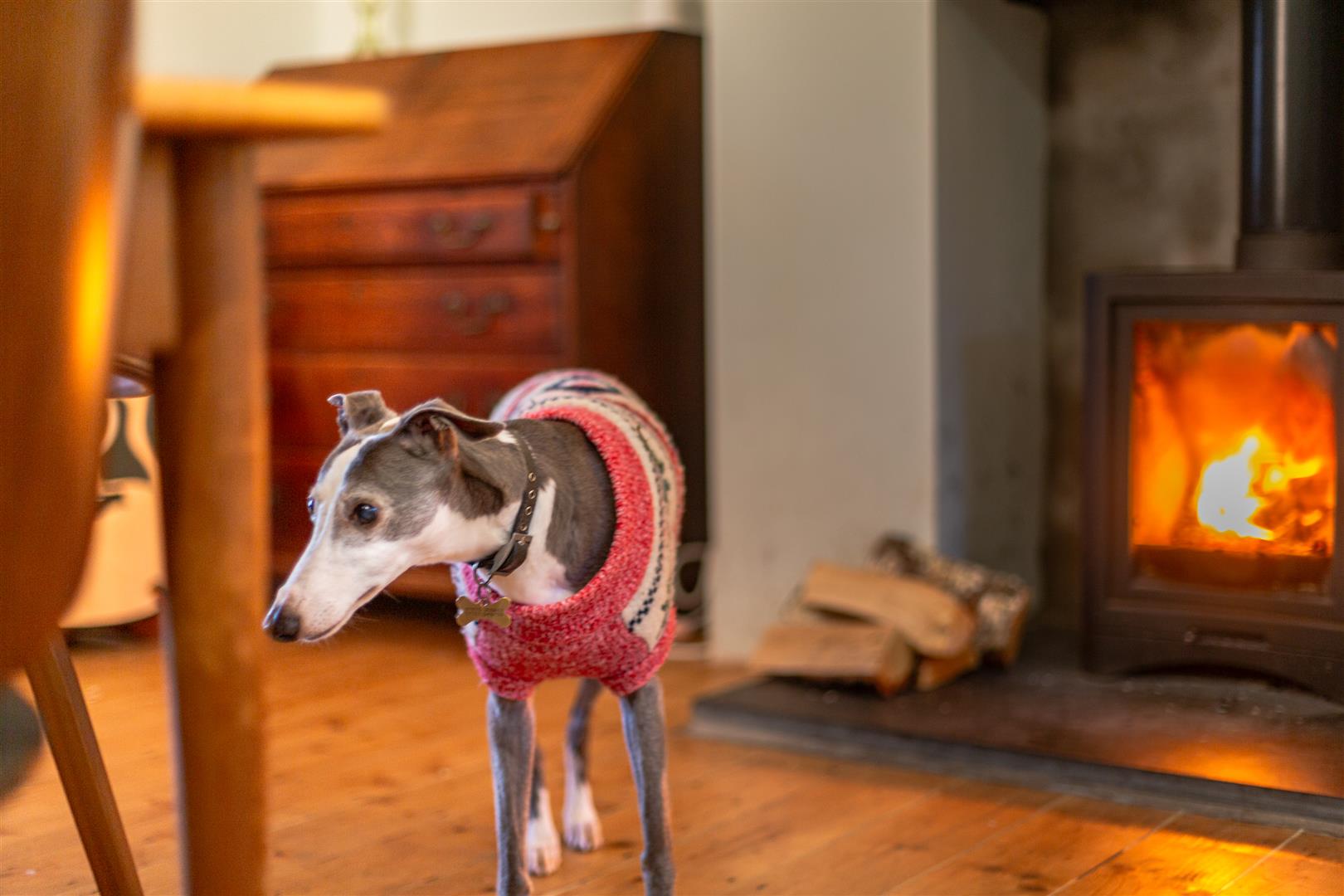 Lon Cadog, Sketty, Swansea, SA2 0TS